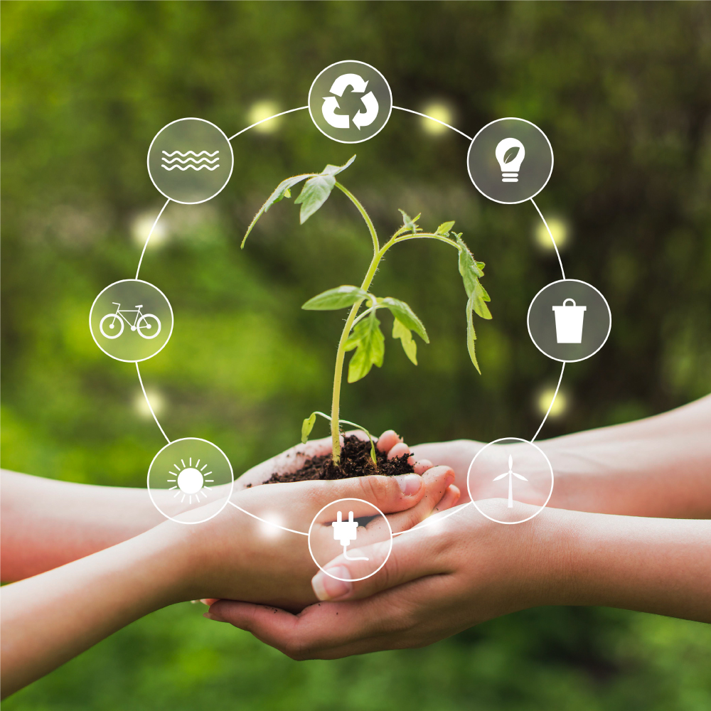 Eco-Green-&-Sustainability